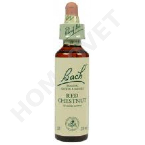 Bach Flower Remedies for Animals Red Chestnut Homeovet
